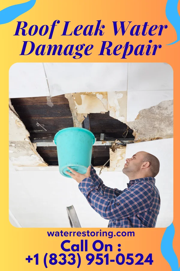 Roof Leak Water Damage Repair in Pine Springs, MN