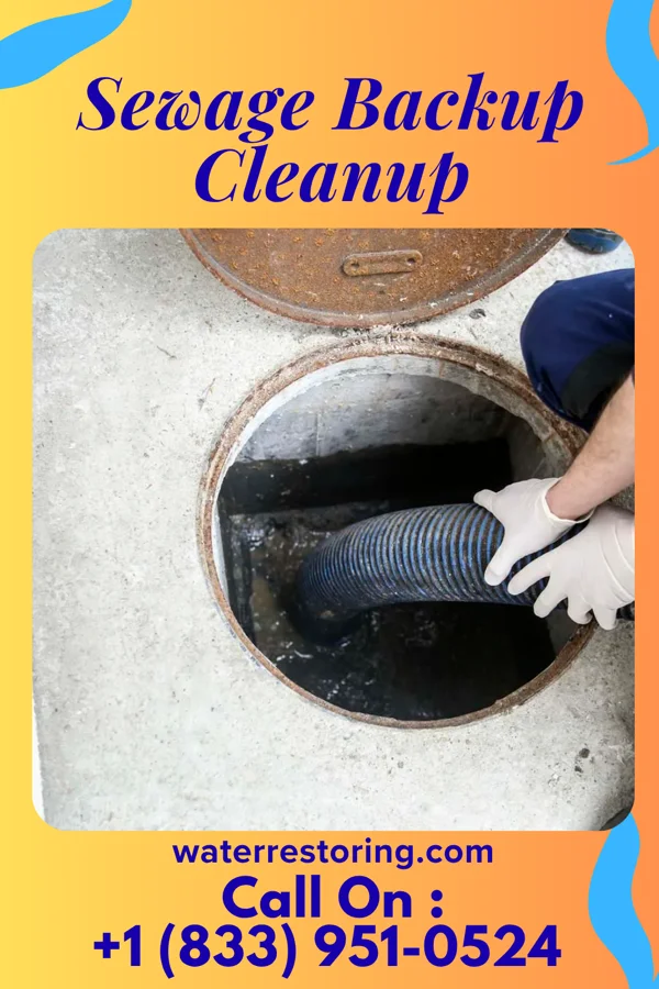 Sewage Backup Cleanup in Pine Springs, MN